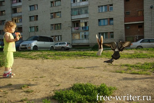 голуби