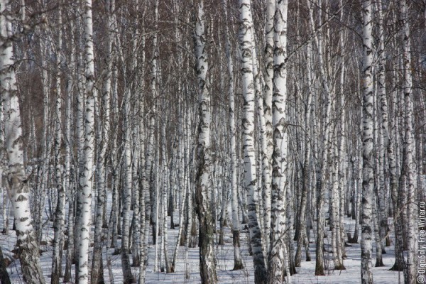 паджеро 4х4 на водопаде