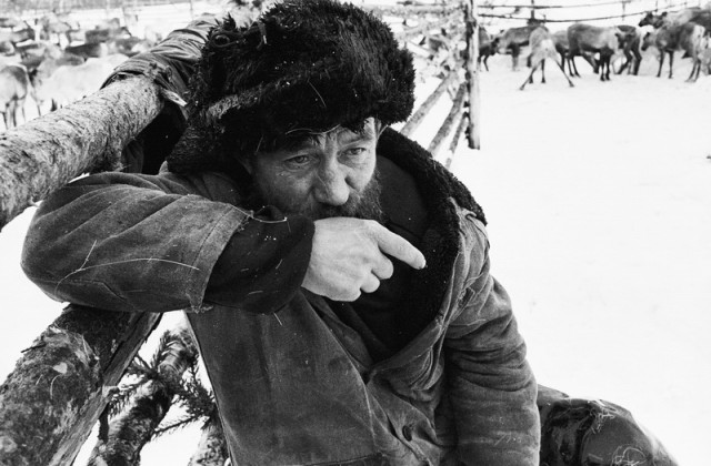 Тундра. Мурманская область