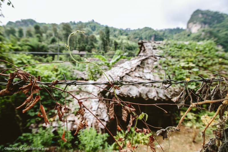 Карены в Таиланде (111)