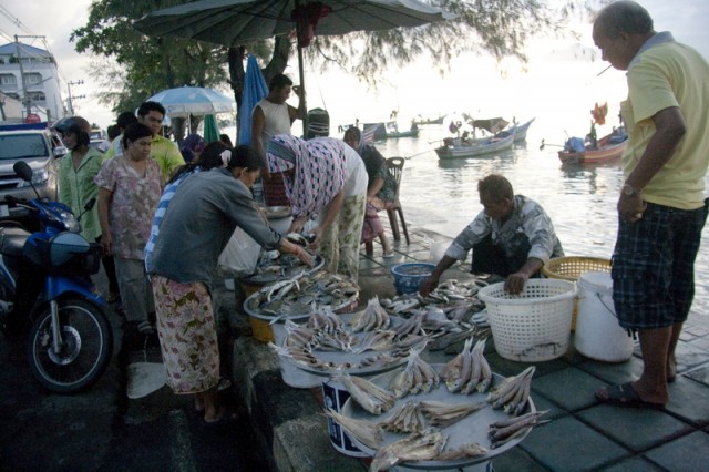 Какие продукты можно купить в тайланде