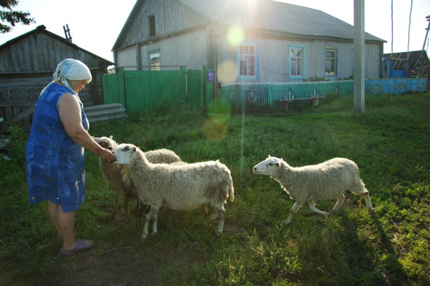 Фотоистория о деревне Николаевка, фотограф Ольга Салий (12)