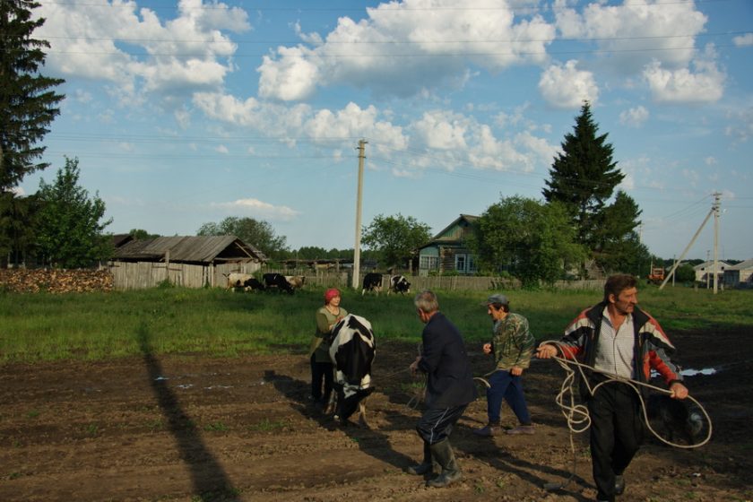 Фотоистория о деревне Николаевка, фотограф Ольга Салий (6)