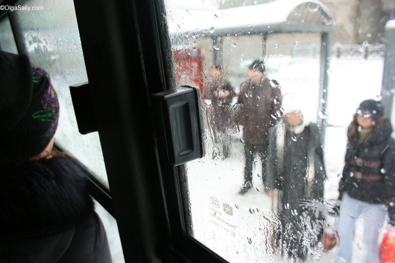 Вид из окна автобуса