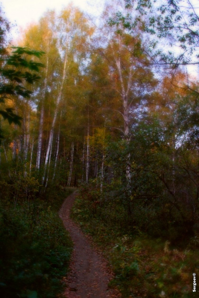 Академгородок в Новосибирске, фотоподборка А.Сергеева (44)