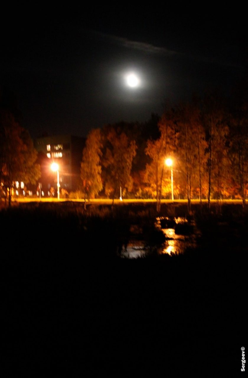 Академгородок в Новосибирске, фотоподборка А.Сергеева (42)