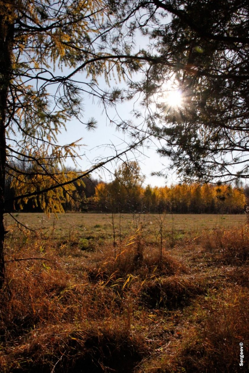Академгородок в Новосибирске, фотоподборка А.Сергеева (41)