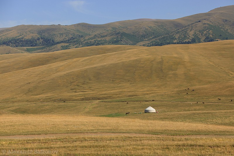 Фотограф Александр Сафронов (1)