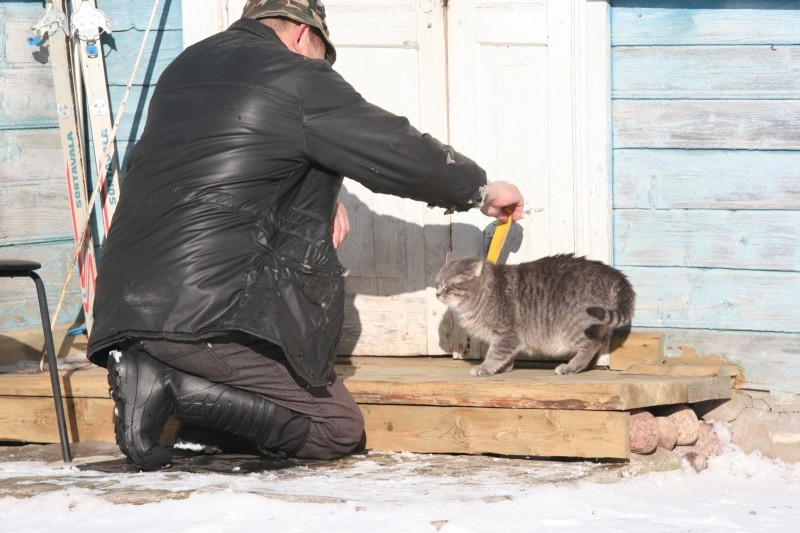 Мужчина и кот на заваленке