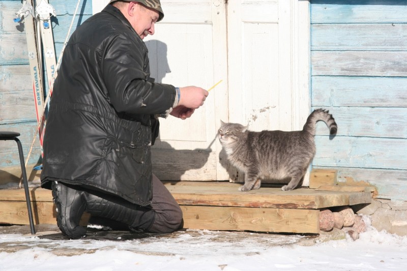 Мужчина и кот на заваленке