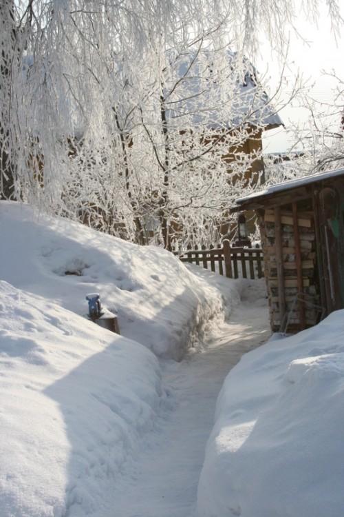 Русская деревня зимой (20)