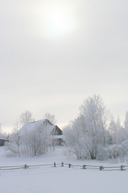 Русская деревня зимой (3)