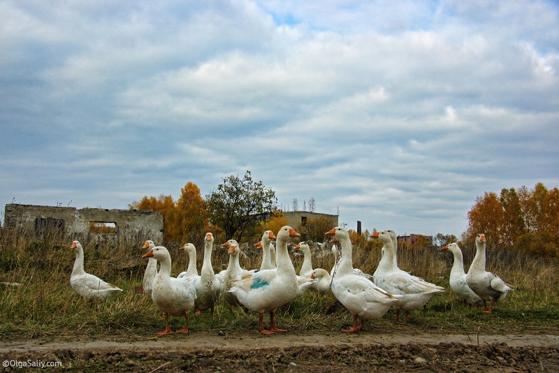 Итатка, послевоенная жизнь