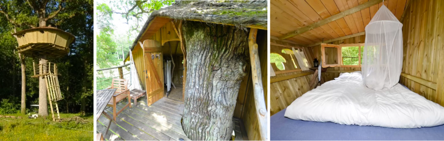 Tree house Gabrielle d'Estrees домик на дереве аренда