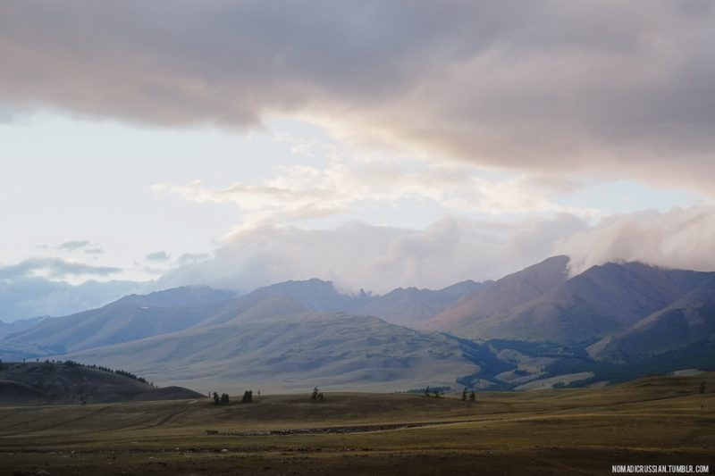 Курайская степь