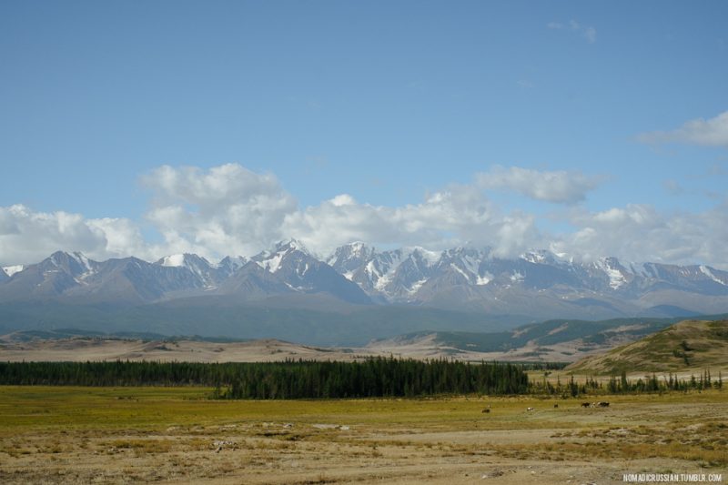 Курайская степь