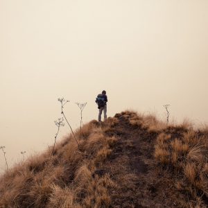 Марди Химал треккинг в Непале (8)