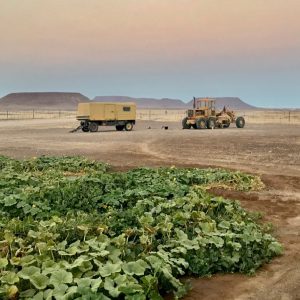 skeleton coast namibia