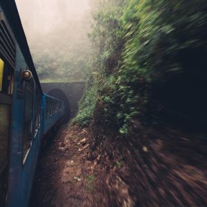 Путешествие по Шри-Ланке на поезде