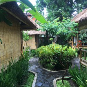 Бамбуковый отель на Бали, Чангу