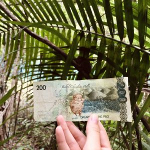 Валюта на Филиппинах