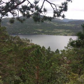 Прекестулен самостоятельно