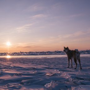 Путешествие по льду Байкала пешком самостоятельно (23)